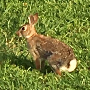 Meet your Posher, Jo